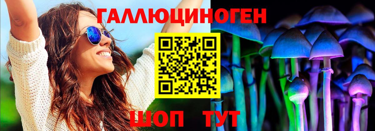 Псилоцибиновые грибы Psilocybe  Вход с VPN  Барабинск 